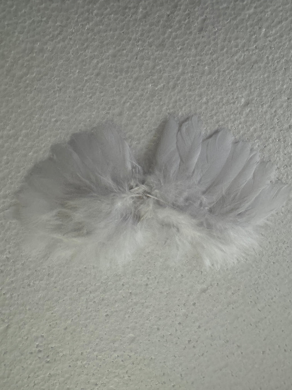 Petit ourson + socle jesmonite